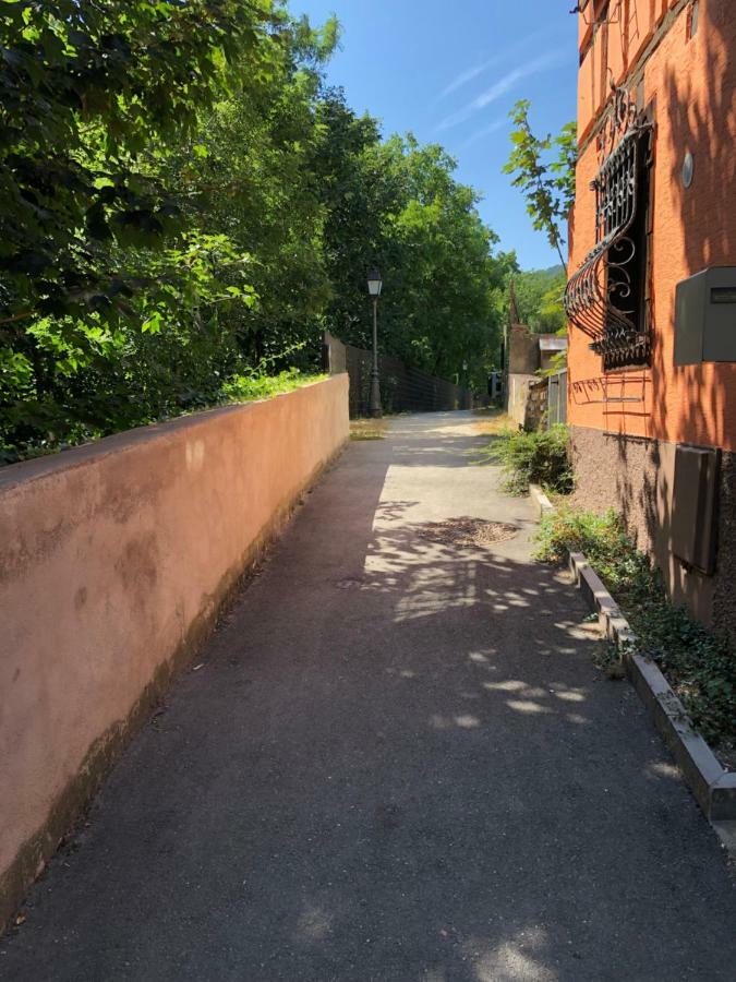 Gite "Rempart Sud" A Ribeauville 外观 照片